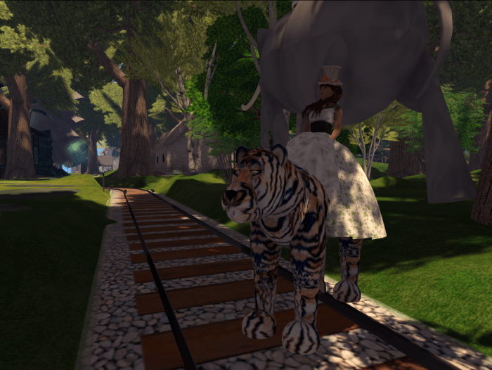 8719995350_9abf235197_o