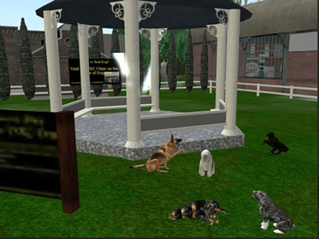 The VKC Dog Park in Caledon as it appeared in 2009. ~Rosanna Himmel